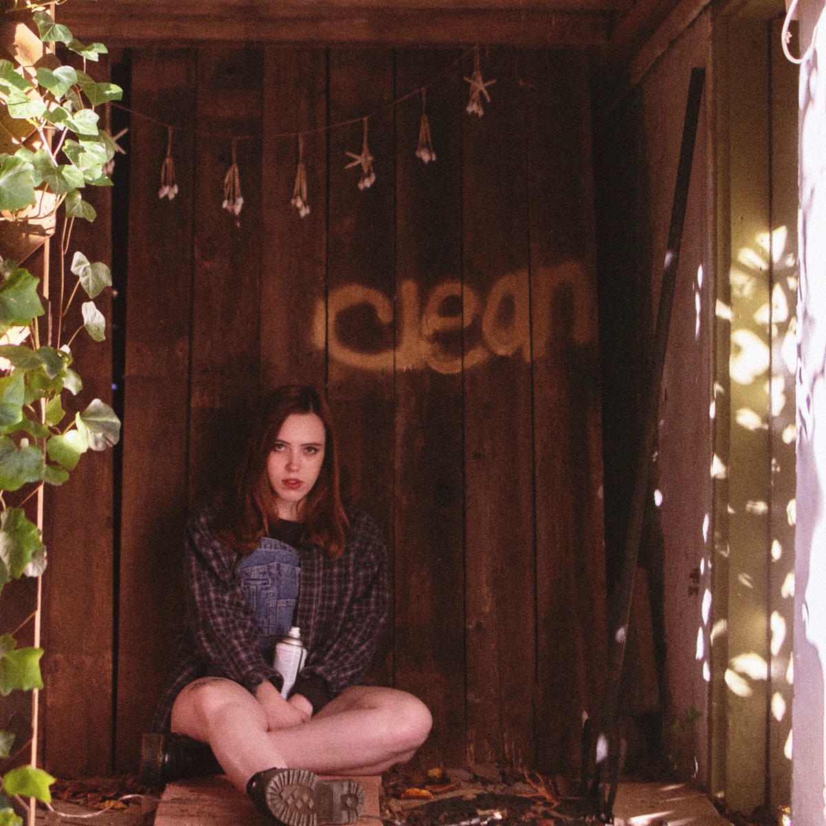 Soccer Mommy Clean